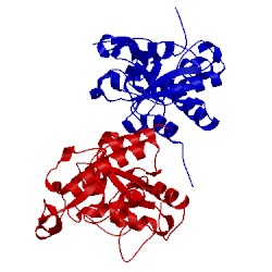 Image of CATH 2azo