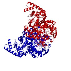Image of CATH 2b2r