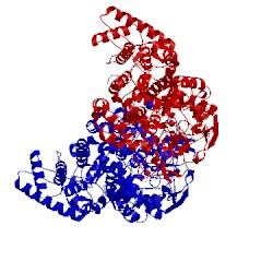 Image of CATH 2b2s