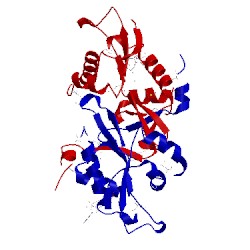 Image of CATH 2b4b