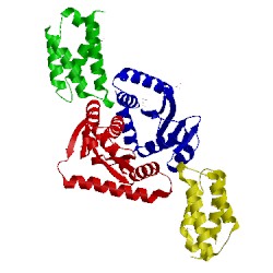 Image of CATH 2b4j