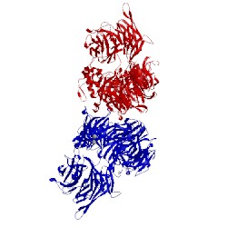 Image of CATH 2b5l