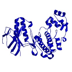 Image of CATH 2bak