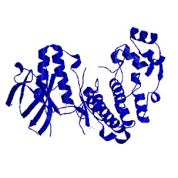 Image of CATH 2bal
