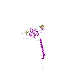 Image of CATH 2bccD