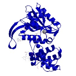 Image of CATH 2bcr