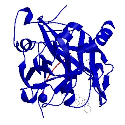 Image of CATH 2bdy