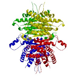 Image of CATH 2bfp