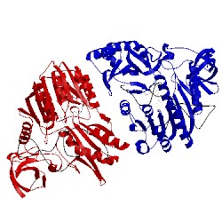 Image of CATH 2bh2