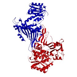Image of CATH 2bhl