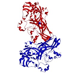 Image of CATH 2bii