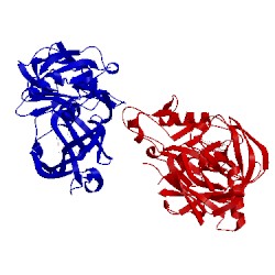Image of CATH 2bkt