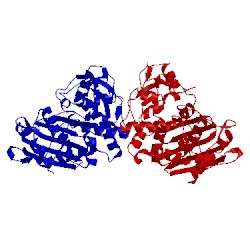 Image of CATH 2bls