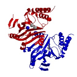 Image of CATH 2bmi