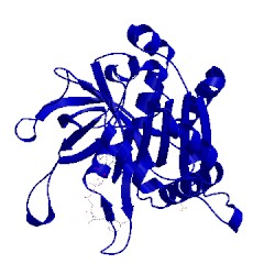 Image of CATH 2bmw