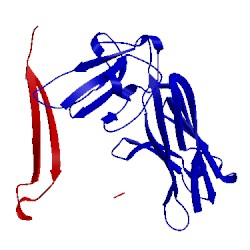Image of CATH 2bnu