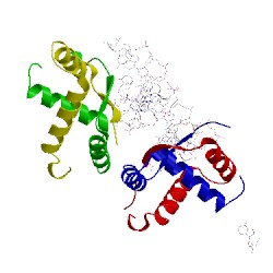 Image of CATH 2bnz