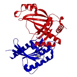 Image of CATH 2bov