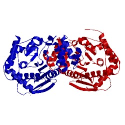 Image of CATH 2bpq