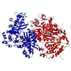 Image of CATH 2bq1