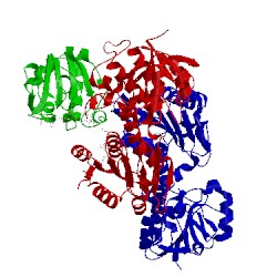 Image of CATH 2bru