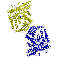 Image of CATH 2bs2