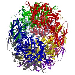 Image of CATH 2bs9