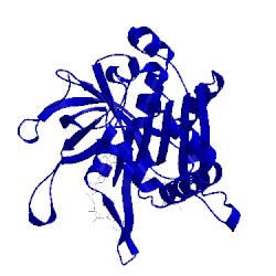 Image of CATH 2bsa