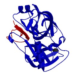 Image of CATH 2btc