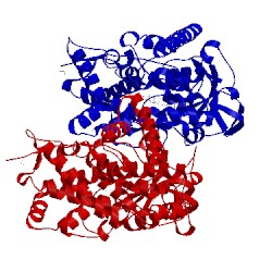 Image of CATH 2bvj