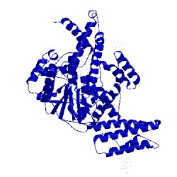 Image of CATH 2bvl