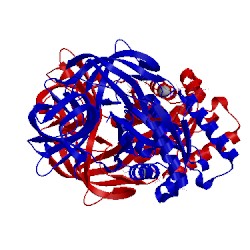 Image of CATH 2bvn