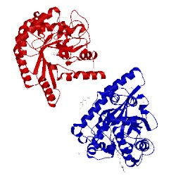 Image of CATH 2bvw