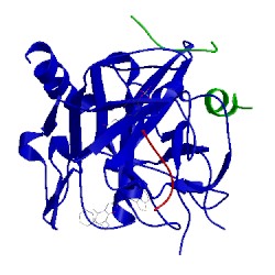 Image of CATH 2bvx