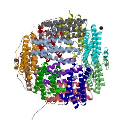 Image of CATH 2bw1
