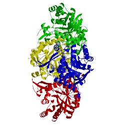 Image of CATH 2bwg