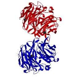 Image of CATH 2bwr