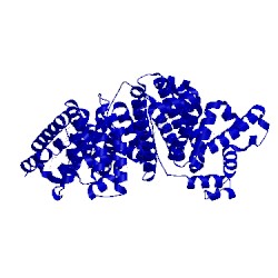 Image of CATH 2bxk