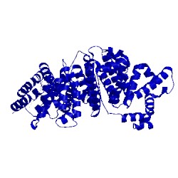 Image of CATH 2bxn