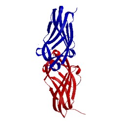 Image of CATH 2bxw