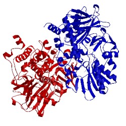 Image of CATH 2byb