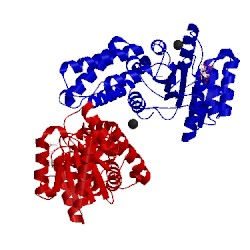 Image of CATH 2c04