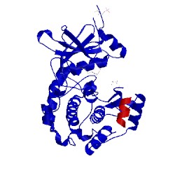 Image of CATH 2c1b