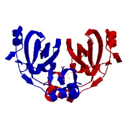 Image of CATH 2c2i