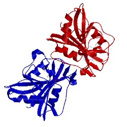 Image of CATH 2c2s