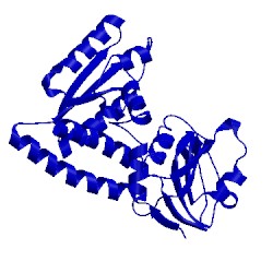 Image of CATH 2c2y