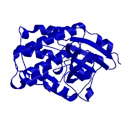 Image of CATH 2c5y