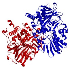 Image of CATH 2c65