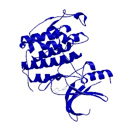 Image of CATH 2c6m