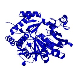 Image of CATH 2c7t